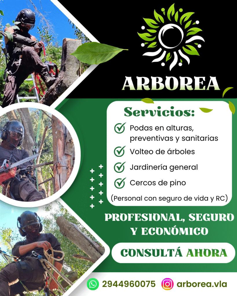 Arborea