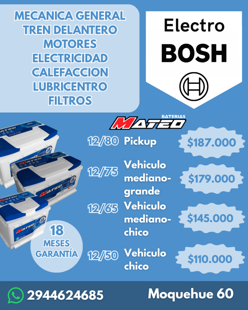 Electro Bosh